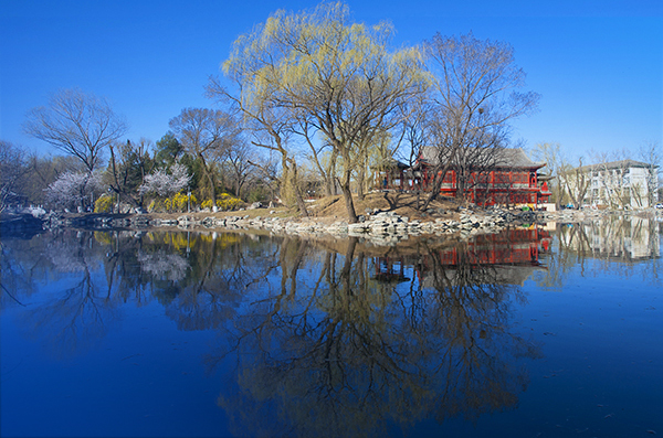 布局風口：醫(yī)療人才轉型暨北大 BiMBA 大健康項目發(fā)布會