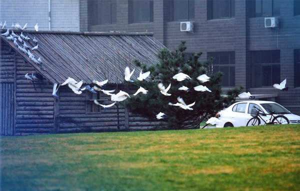 對外經(jīng)濟(jì)貿(mào)易大學(xué)MBA2018年首場招生宣講會通知