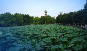 廣西大學(xué)2018年MBA“君武計劃”（提前面試）細則