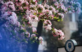 天津大學(xué)2018年MBA十月招生說明會通知