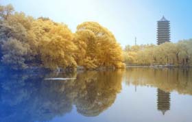 2018年北京大學(xué)光華管理學(xué)院全國(guó)公開課——深圳站