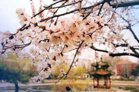 【提分有招】北京交通大學(xué)MBA備考講座通知