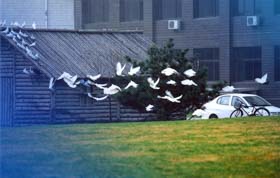 講座預告 l 國學智慧與“9+1”理論 ——基于中國企業(yè)的經營管理模式實踐