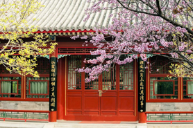 【講座報名】陳春花教授：協(xié)同——數(shù)字化時代組織效率的本質(zhì)