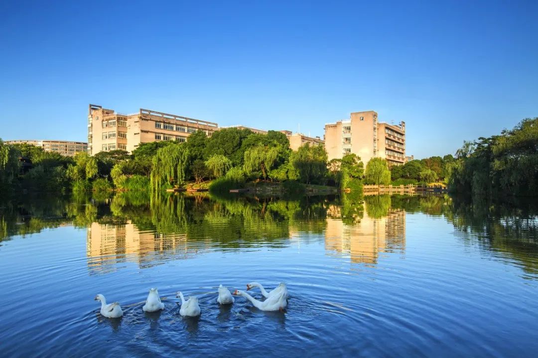 浙江財(cái)經(jīng)大學(xué)MBA教育十周年慶典 暨“負(fù)責(zé)任的管理”高峰論壇 邀請(qǐng)函