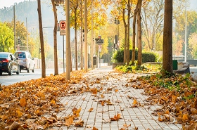  英國(guó)曼徹斯特大學(xué)全球在職MBA項(xiàng)目說(shuō)明暨2021年7月班申請(qǐng)指南活動(dòng)