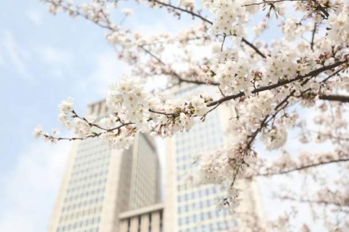 【活動報名】金融人的“效能”革命：AI賦能實戰(zhàn)場景與高能量保持心法 | 復旦國金FMBA