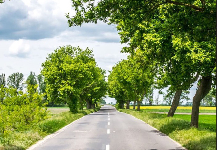 對比：長江商學(xué)院、中歐國際工商學(xué)院與“清北人”
