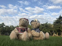 【8.31活動序幕】朱晨超：三個(gè)月備考，全職媽媽拿下全獎變“學(xué)霸”