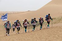 京獅馳騁沙八，再攜沙鷗歸來(lái)