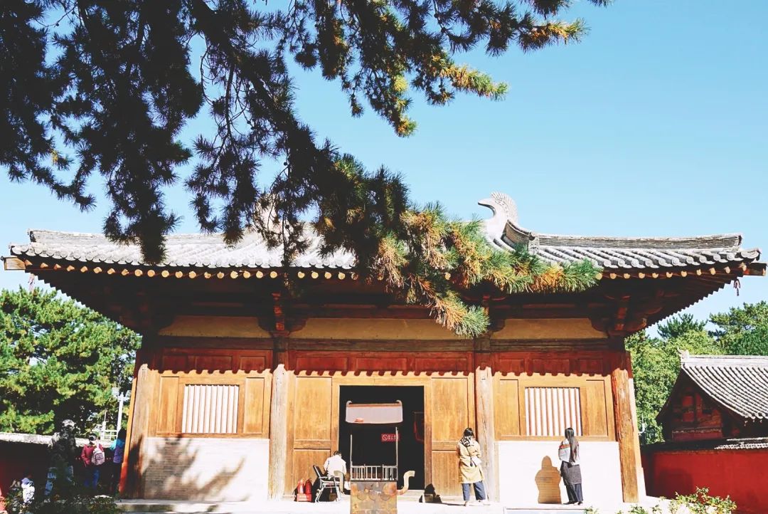  BIFudanMBA：MBAer極光劇場 | 去旅行吧，打開你的細胞壁，感受時空之美