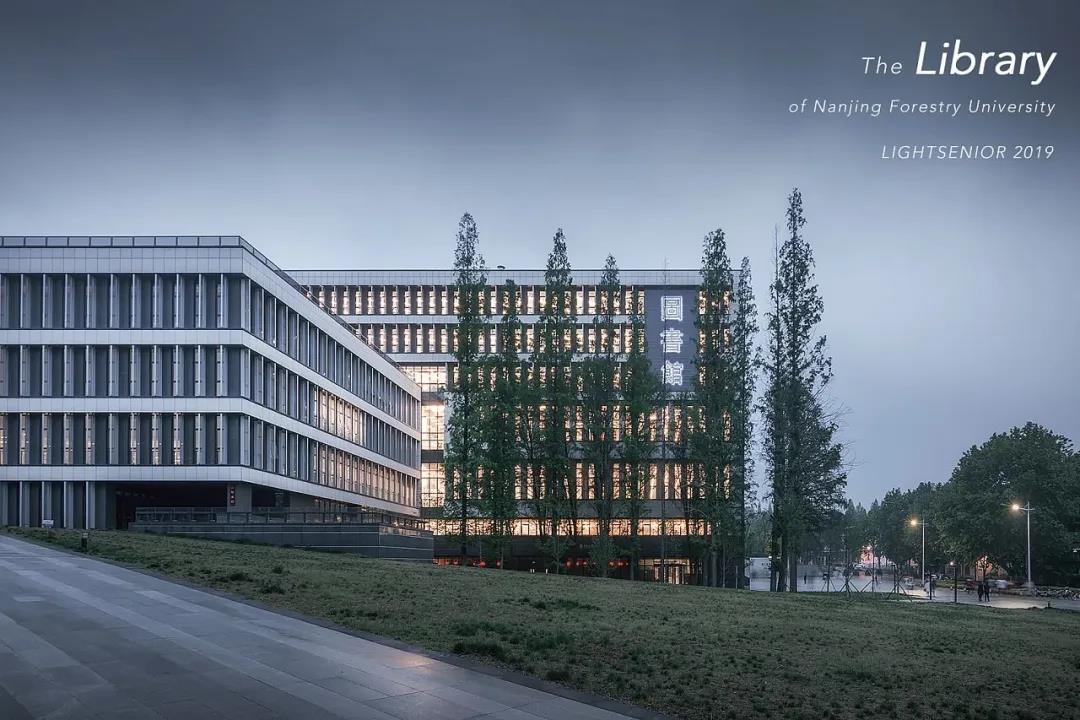 代碼：3209！南京林業(yè)大學(xué)等你確認