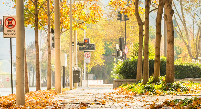 曼徹斯特全球在職MBA項(xiàng)目線上咨詢——2023年7月班招生即將開始！