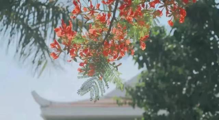 廈大MBA | 2024預(yù)審面試時(shí)間表已發(fā)布！