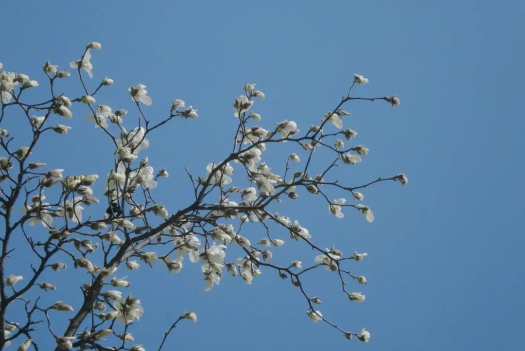 西北農(nóng)林科技大學(xué)2023年非全日制工商管理碩士（MBA）入學(xué)復(fù)試錄取辦法