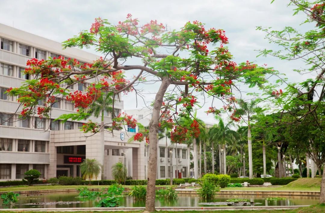 圓滿結(jié)業(yè)｜海南大學(xué)自貿(mào)港工商管理領(lǐng)航班一期結(jié)業(yè)典禮成功舉辦
