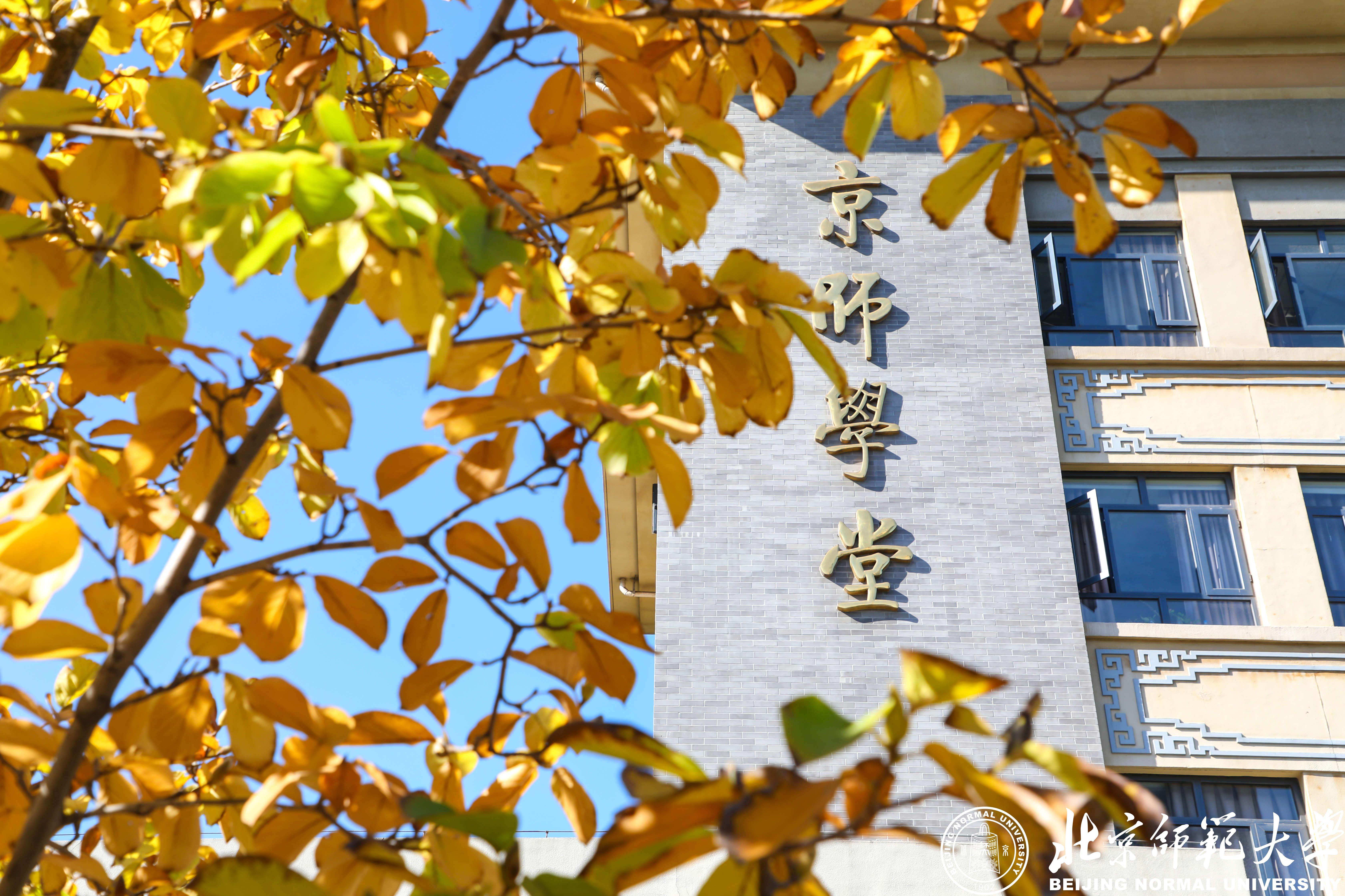 6月11日 | 北師大經(jīng)管MBA專業(yè)方向分享會（一）