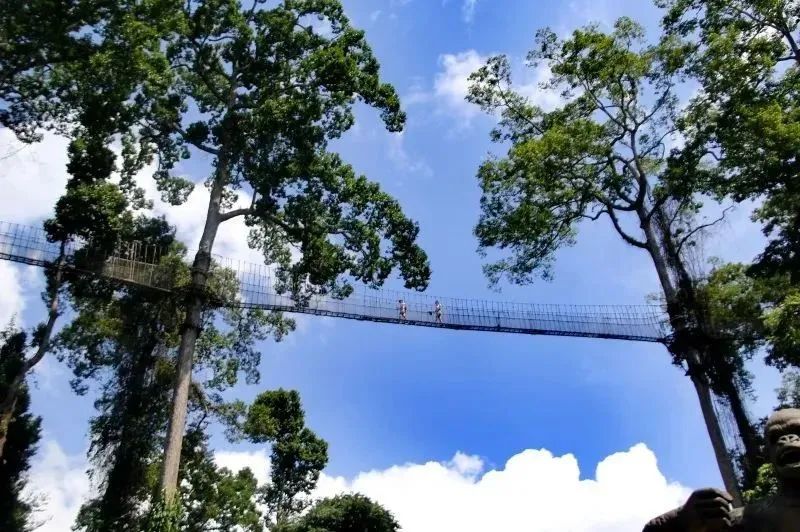 時(shí)隔三年，終相聚 | 您期待的亞林終于來了！