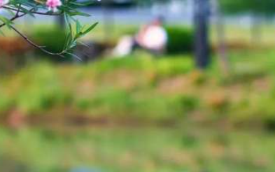 探索數(shù)字金融！深圳大學(xué)經(jīng)濟(jì)學(xué)院“數(shù)字金融”專題研修班招生公告