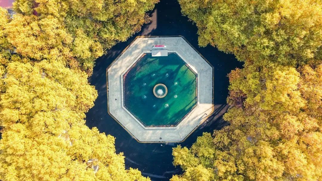 MBA報考 | 東南大學(xué)2024年工商管理碩士（MBA）報名流程