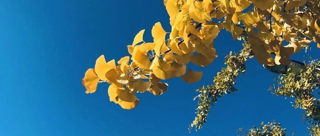 2024年全國碩士研究生招生考試中國石油大學(xué)（北京）報(bào)考點(diǎn)報(bào)名信息網(wǎng)上確認(rèn)公告