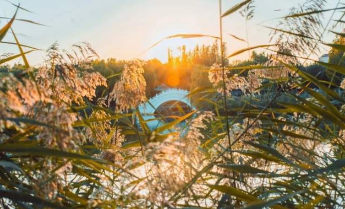 北理管理與經(jīng)濟(jì)學(xué)院再次榮獲騰訊商學(xué)院發(fā)展論壇暨專業(yè)學(xué)位教育年度峰會(huì)多項(xiàng)榮譽(yù)