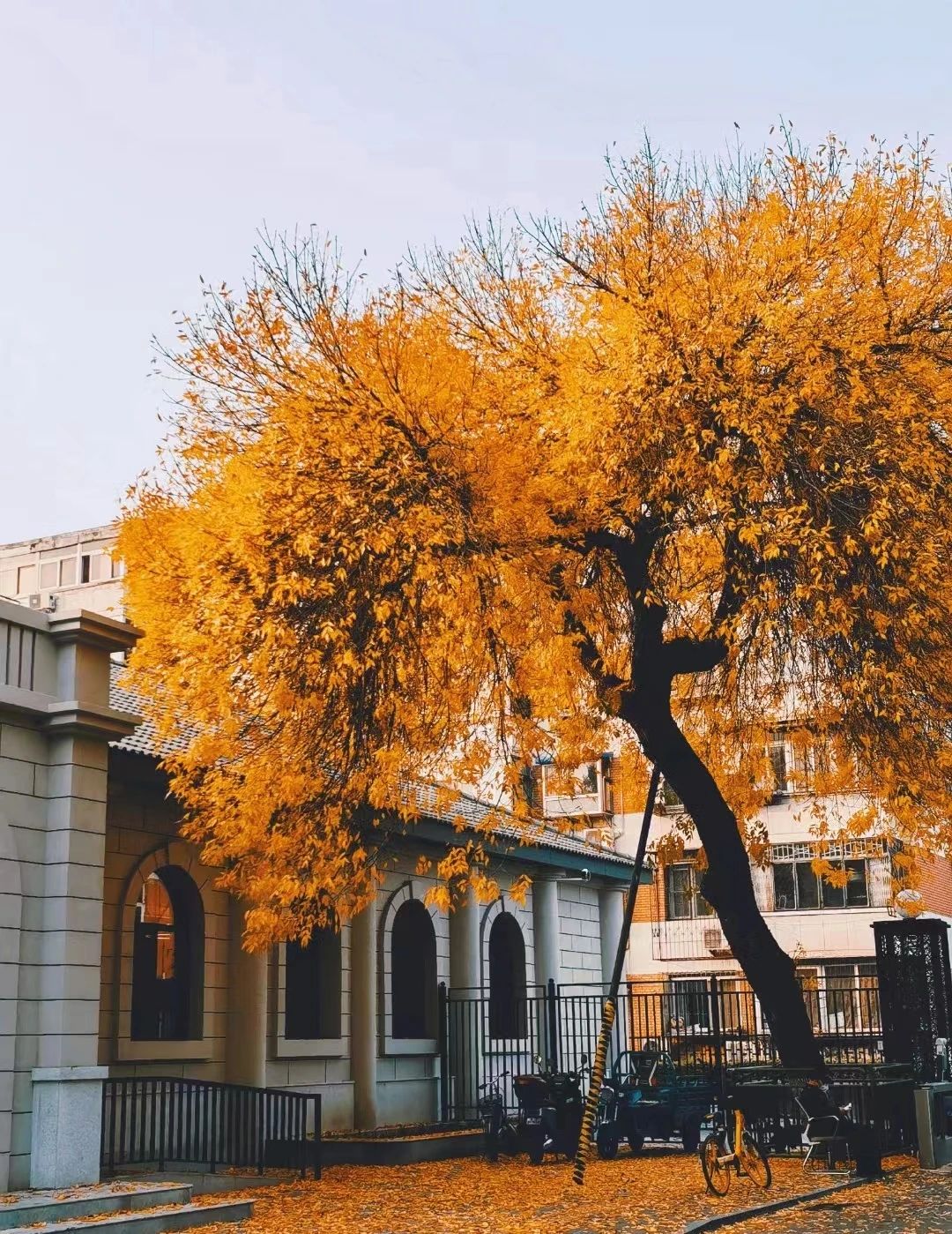  北京理工大學(xué)管院【備考故事】篤行逐夢，不負(fù)韶華