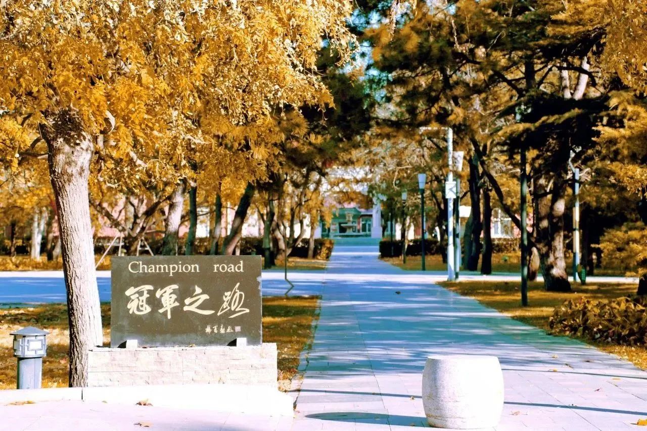 調(diào)劑意向登記 | 2024年北京體育大學(xué)MBA調(diào)劑意向登記及常見問題解答