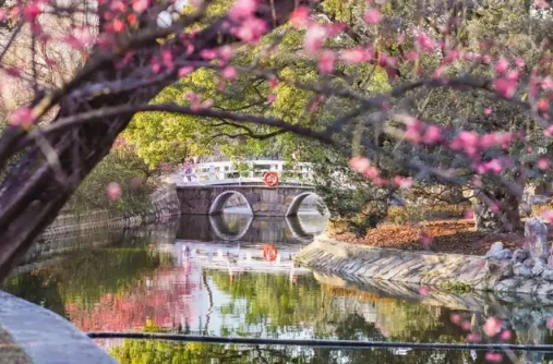 華東師大2025年入學(xué)MBA第一批提前面試報(bào)名進(jìn)行中 | 線下場(chǎng)次（4月21日/24日），線上場(chǎng)次4月25日