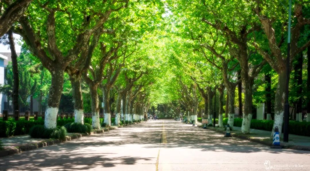 華東理工大學(xué)商學(xué)院2025級(jí)金融碩士(MF)獎(jiǎng)助學(xué)金方案