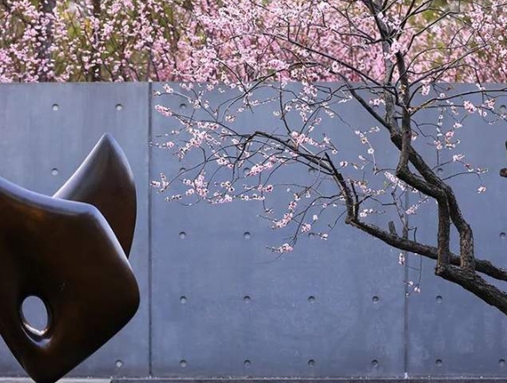 北師大經(jīng)濟與工商管理學(xué)院周江華教授團隊開發(fā)的案例再獲第七屆“卓越開發(fā)者”案例大獎賽“卓越獎”