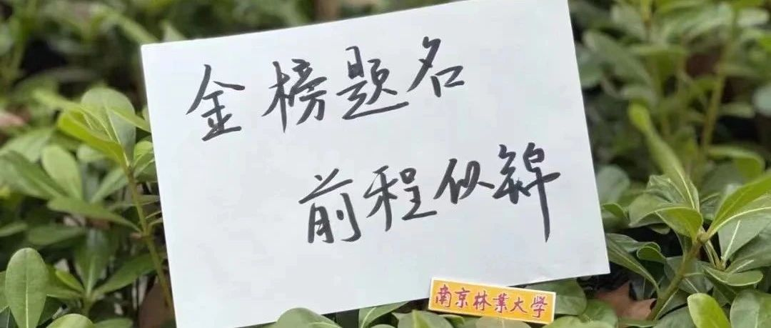 南京林業(yè)大學(xué)2025MBA招生咨詢通道正式開啟