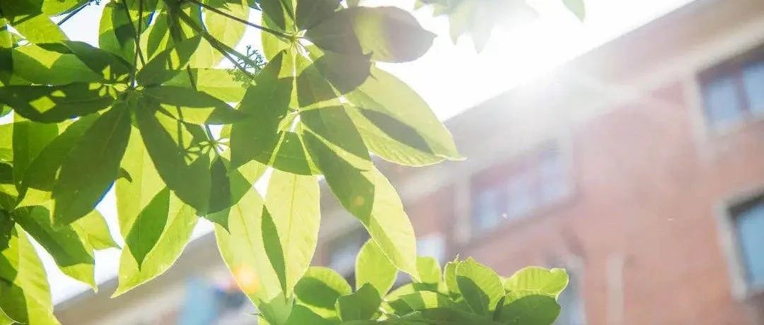 “求是?先鋒”體驗營｜2026年人大商學院MBA申請全面開啟