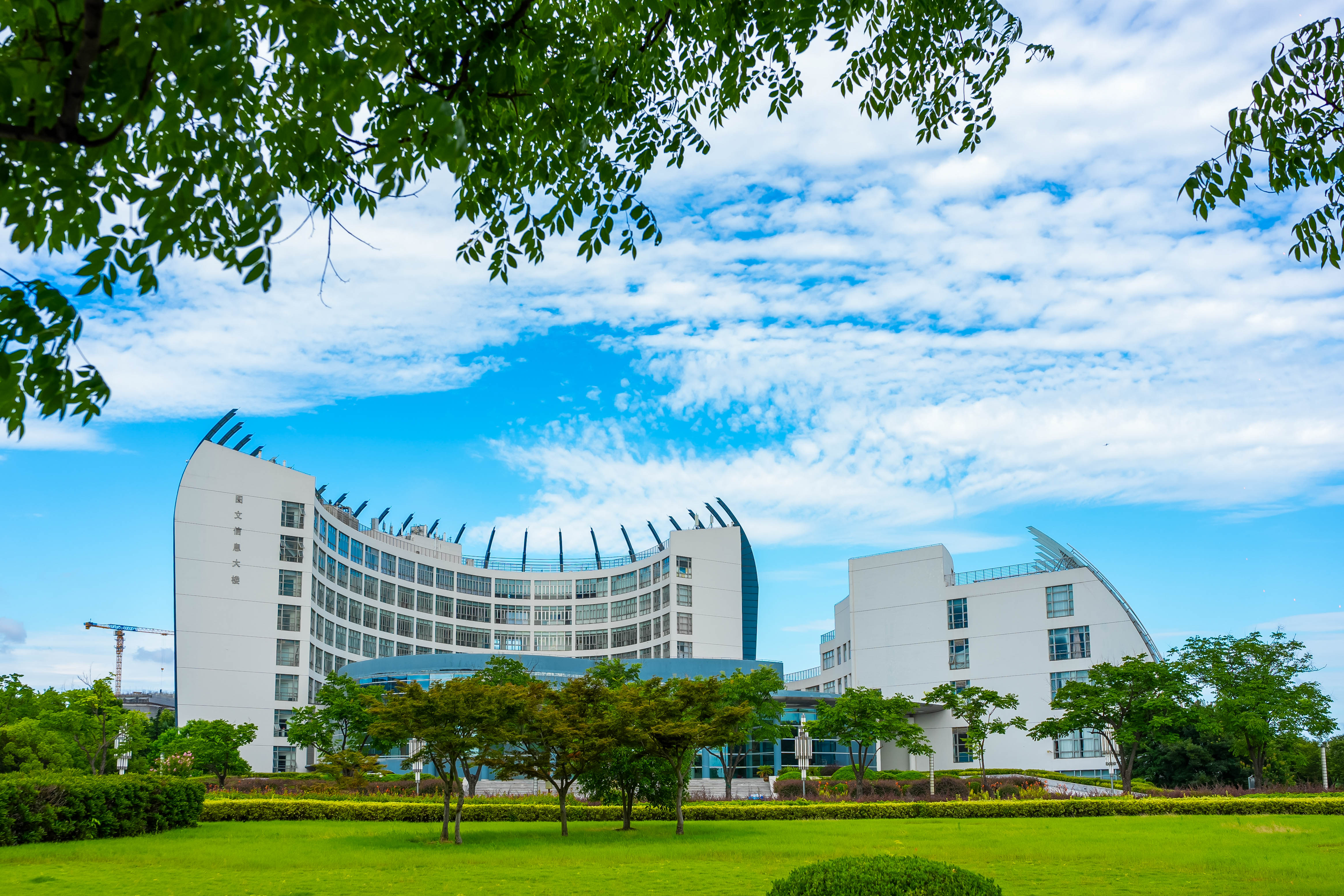 MF重磅來襲 | 東華金融破界新生，以全新培養(yǎng)方案打造未來金融精英！