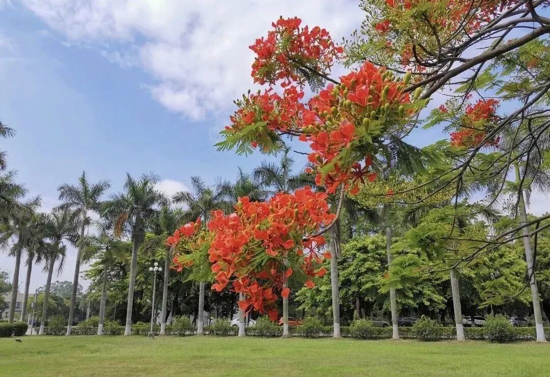 汕頭大學(xué)商學(xué)院2026年MBA報(bào)考點(diǎn)網(wǎng)報(bào)公告