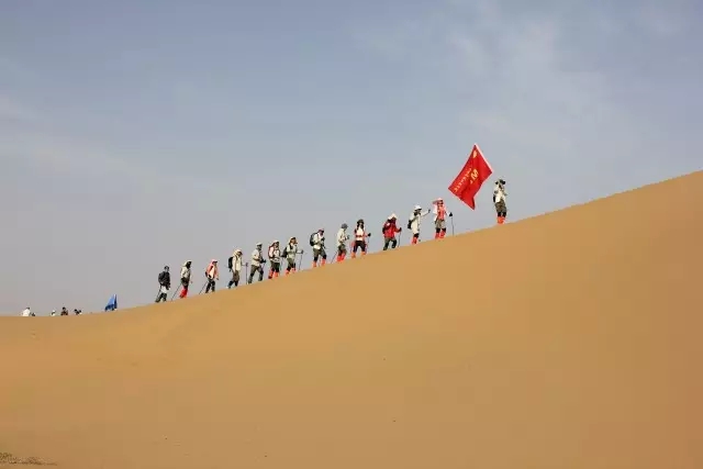 1495794456474186.jpg 229.webp.jpg