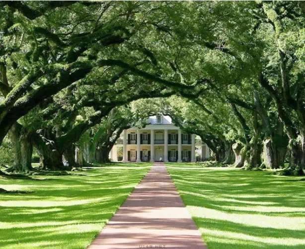 1499420207234610.jpg 1499420207234610.jpg