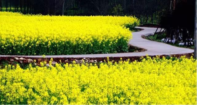 1499420348735047.jpg 2017.7.7xinwen——XL5.jpg