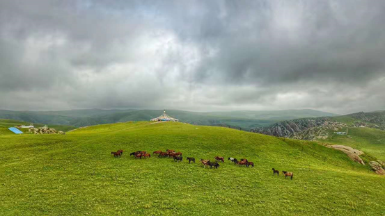 1501117891806916.png 1501117891806916.png