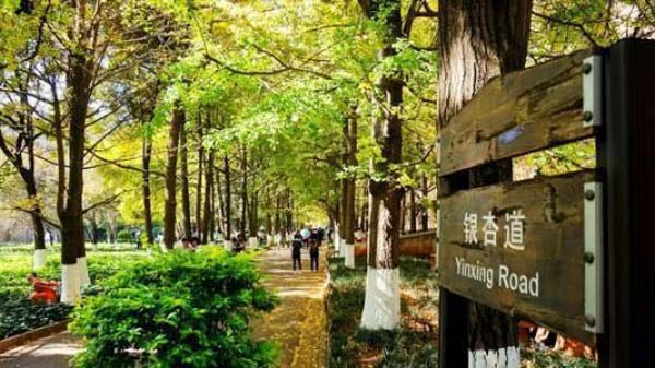 1507516134802278.png image.png