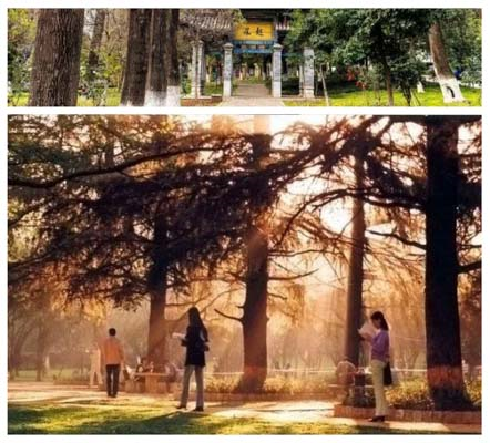 1507516171954721.png 1507516171954721.png