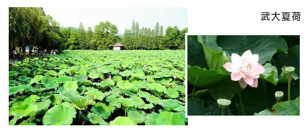 1507528394386405.png image.png