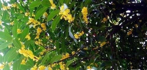 1507528444902917.png 1507528444902917.png