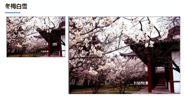 1507528460856781.png image.png