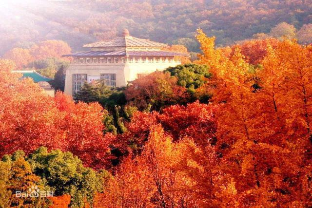 1507528483887622.png 1507528483887622.png