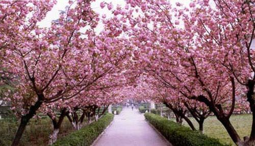 1507528520308539.png 1507528520308539.png