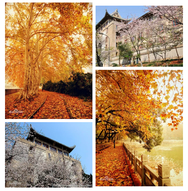 1507528704770731.png image.png