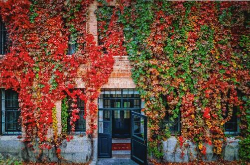 1508394249845082.png image.png