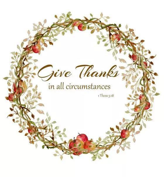 1511431667436035.png image.png