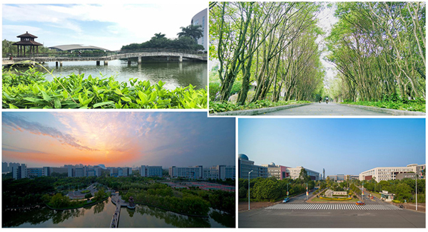 1574237723733463.jpg 0-4.jpg